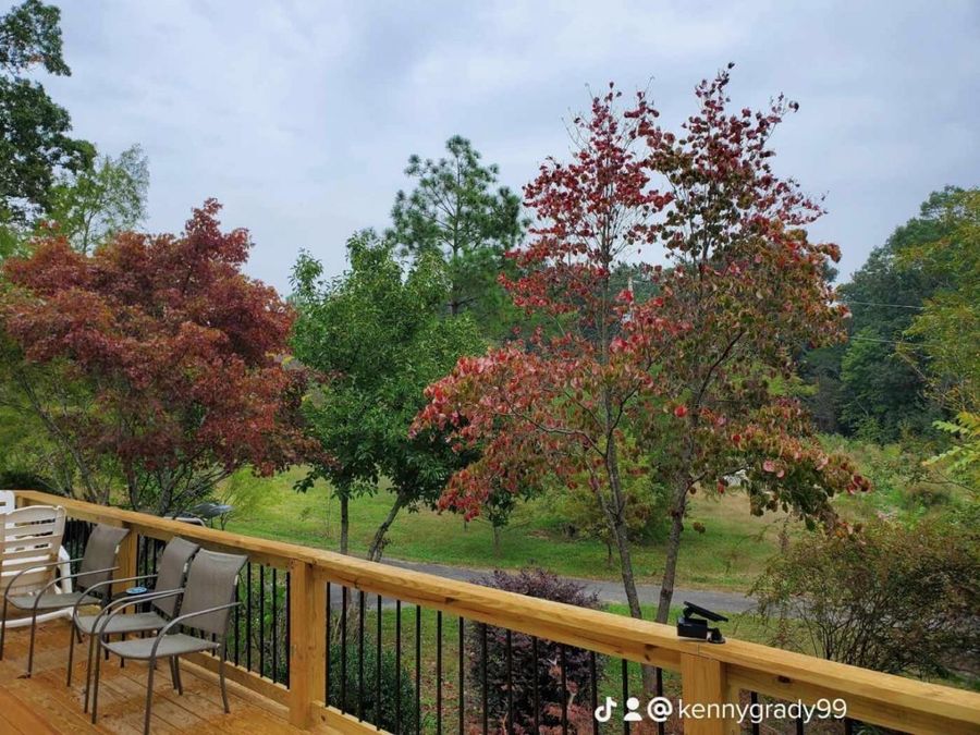 Property Image 97