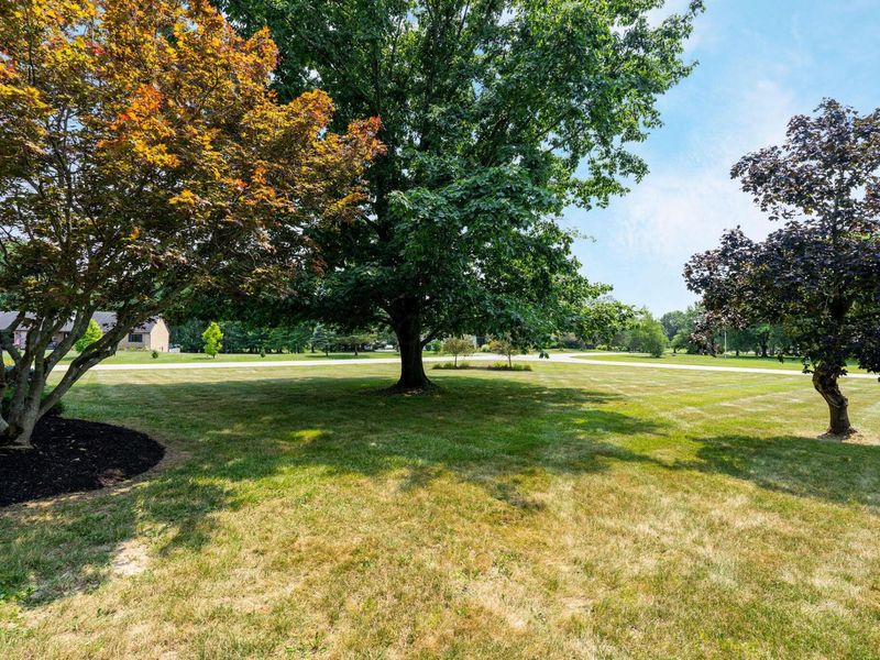7252 Fox Den Court NW, Pickerington, OH 43147 Photo 41