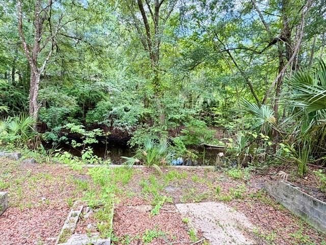 9749 Florida Street , Fanning Springs, FL 32693 Photo