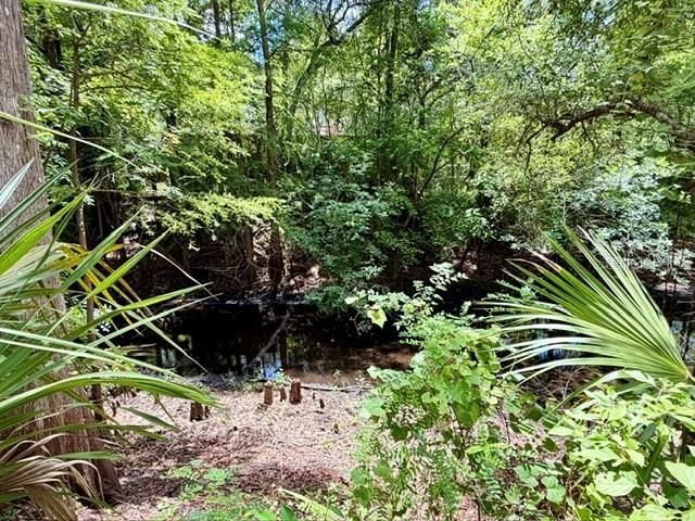 9749 Florida Street , Fanning Springs, FL 32693 Photo
