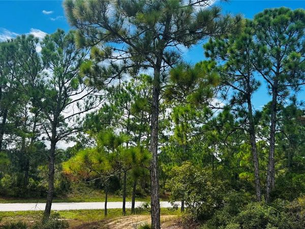 486 DREAMLAND DRIVE , LAKE PLACID, FL 33852