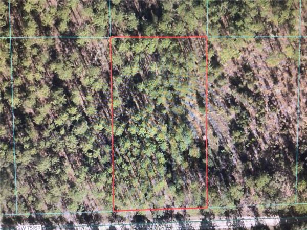 0 SW 75 STREET , DUNNELLON, FL 34432