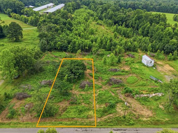 309 County Road 315, Bryant, AL 35958