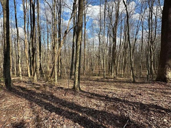 1870 Ludwig Road, Grafton, WV 26354