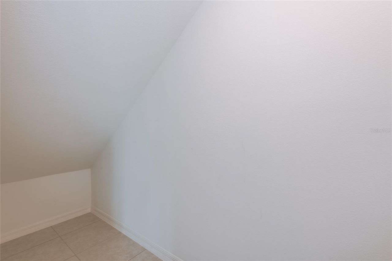 6262 Shiner Street, Land O Lakes, FL 34638 Photo
