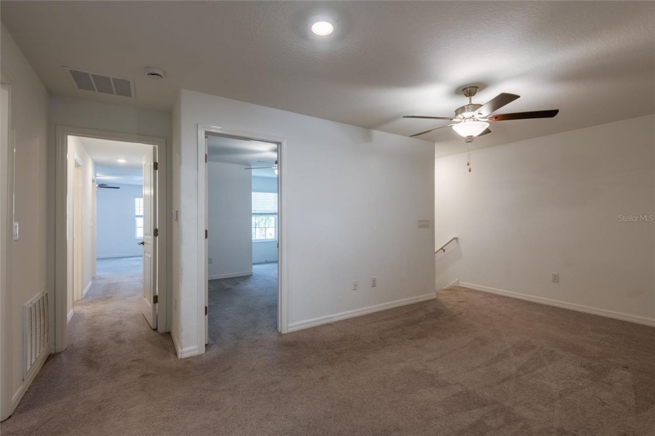 6262 Shiner Street, Land O Lakes, FL 34638 Photo