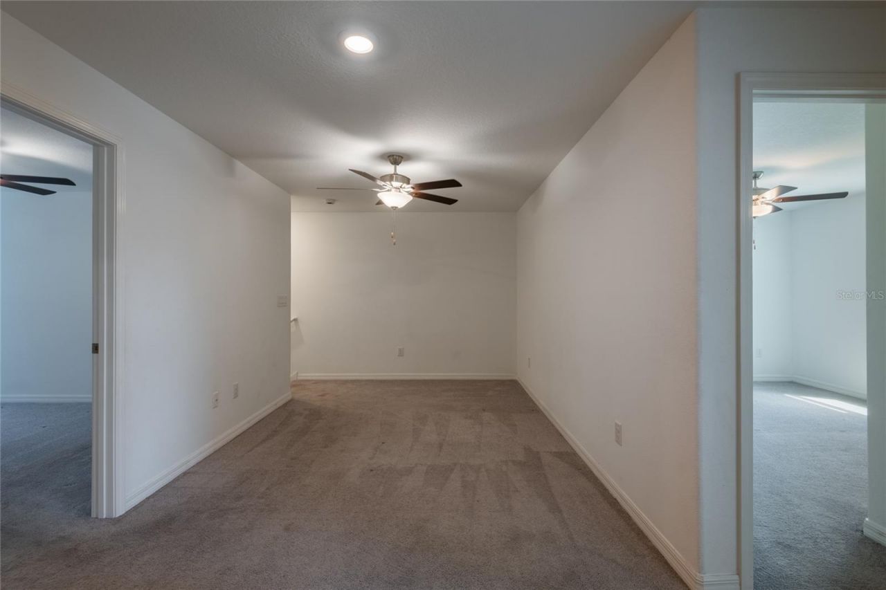 6262 Shiner Street, Land O Lakes, FL 34638 Photo