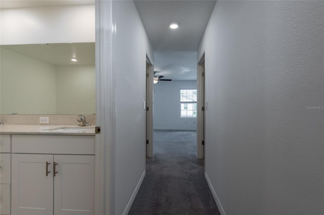 6262 Shiner Street, Land O Lakes, FL 34638 Photo