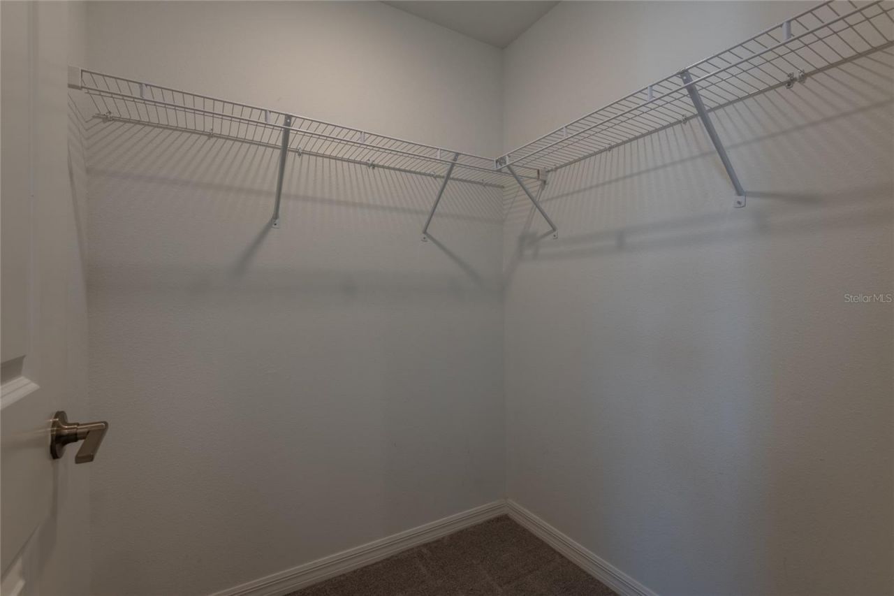 6262 Shiner Street, Land O Lakes, FL 34638 Photo