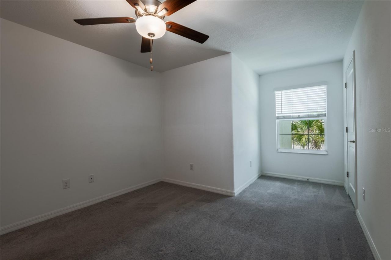 6262 Shiner Street, Land O Lakes, FL 34638 Photo