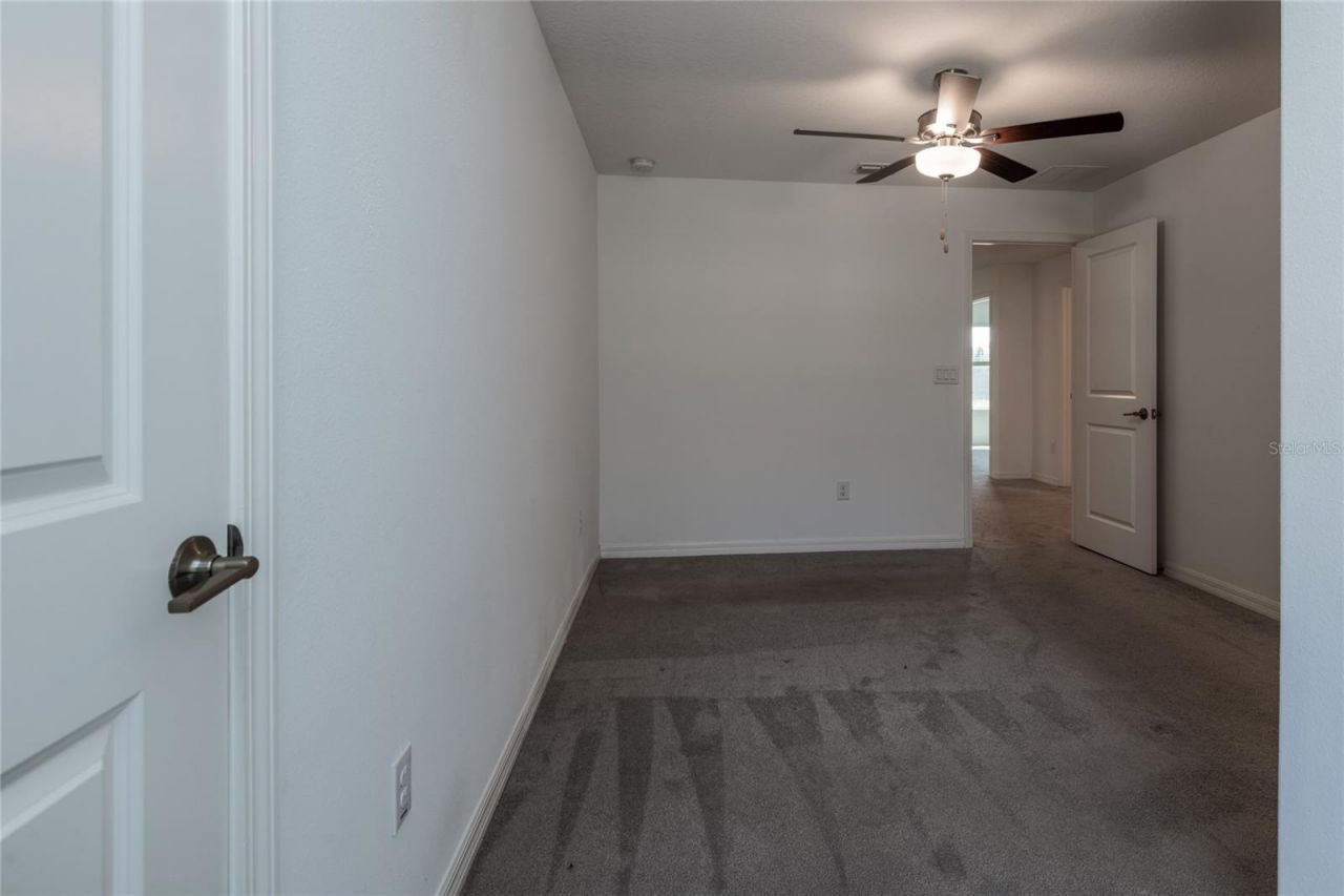 6262 Shiner Street, Land O Lakes, FL 34638 Photo