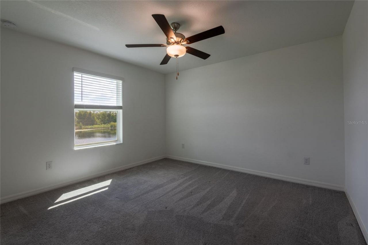 6262 Shiner Street, Land O Lakes, FL 34638 Photo