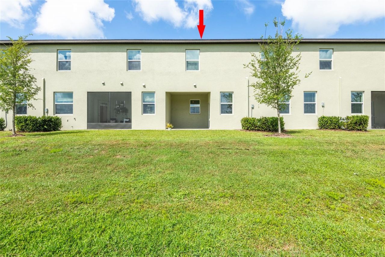 6262 Shiner Street, Land O Lakes, FL 34638 Photo