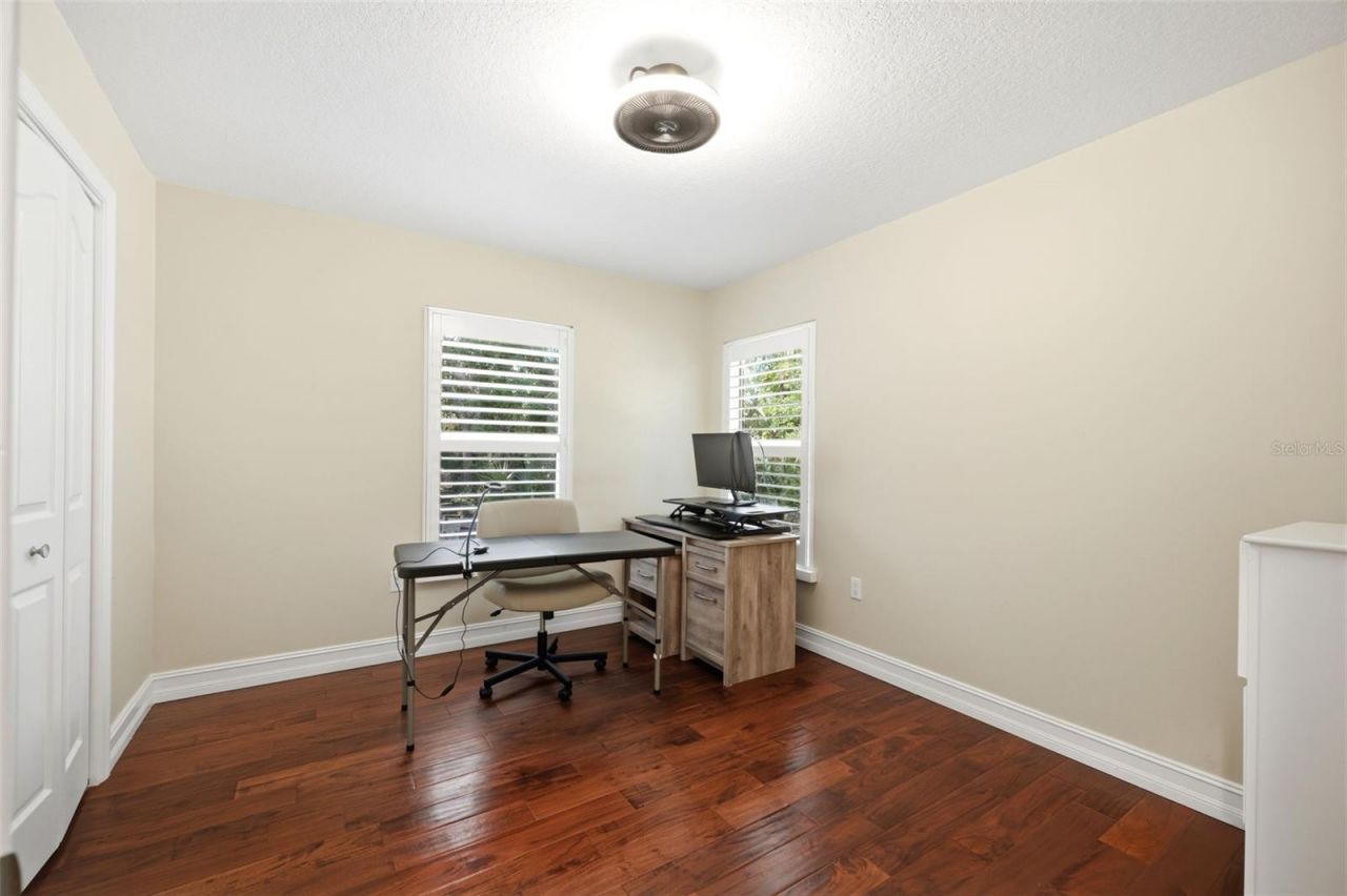 4710 Basswood Street , Land O Lakes, FL 34639 Photo
