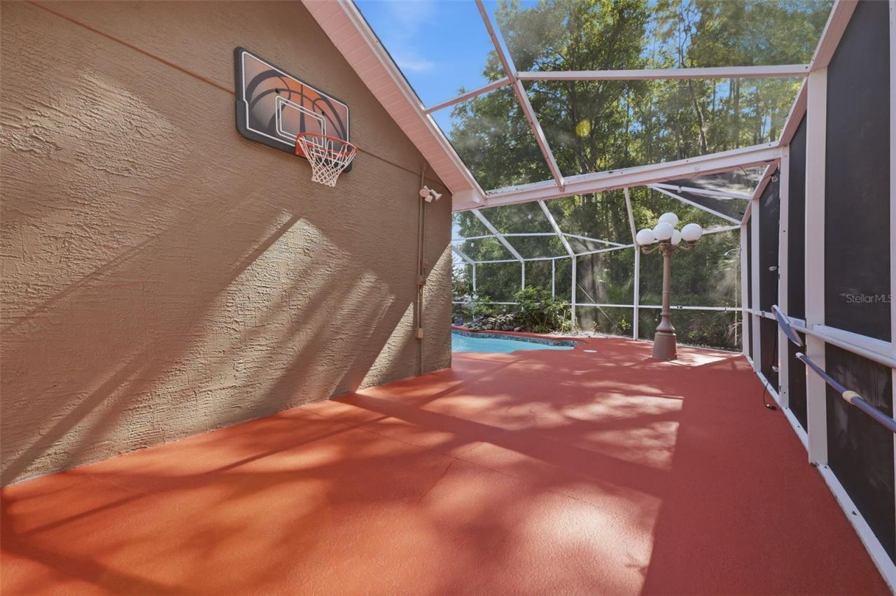 4710 Basswood Street , Land O Lakes, FL 34639 Photo