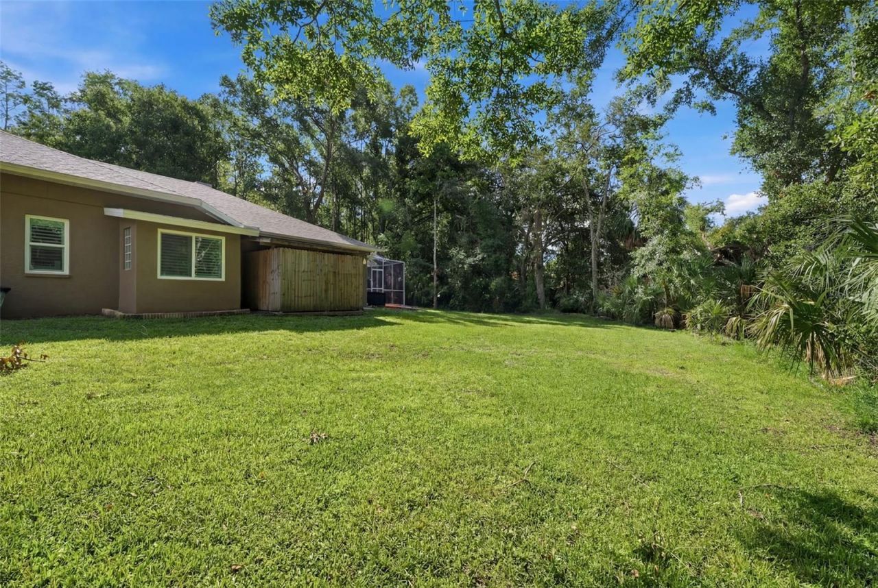 4710 Basswood Street , Land O Lakes, FL 34639 Photo