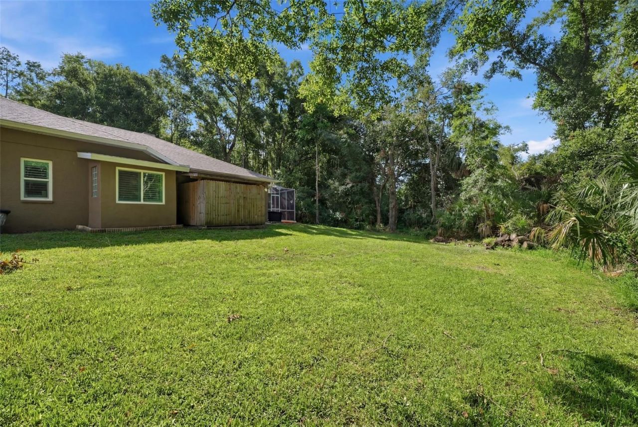 4710 Basswood Street , Land O Lakes, FL 34639 Photo