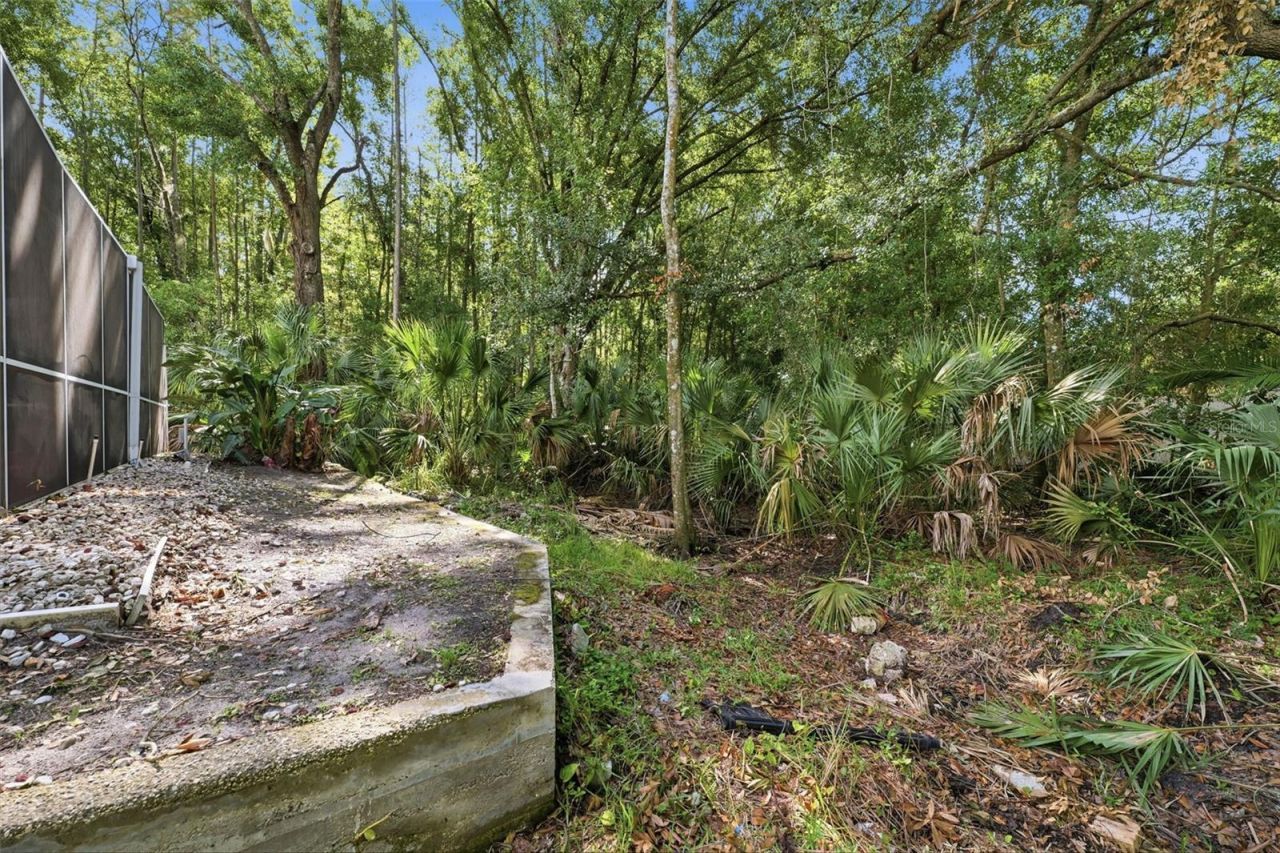 4710 Basswood Street , Land O Lakes, FL 34639 Photo