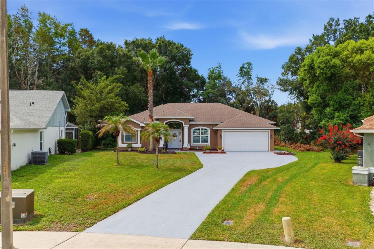 4710 Basswood Street , Land O Lakes, FL 34639 Photo