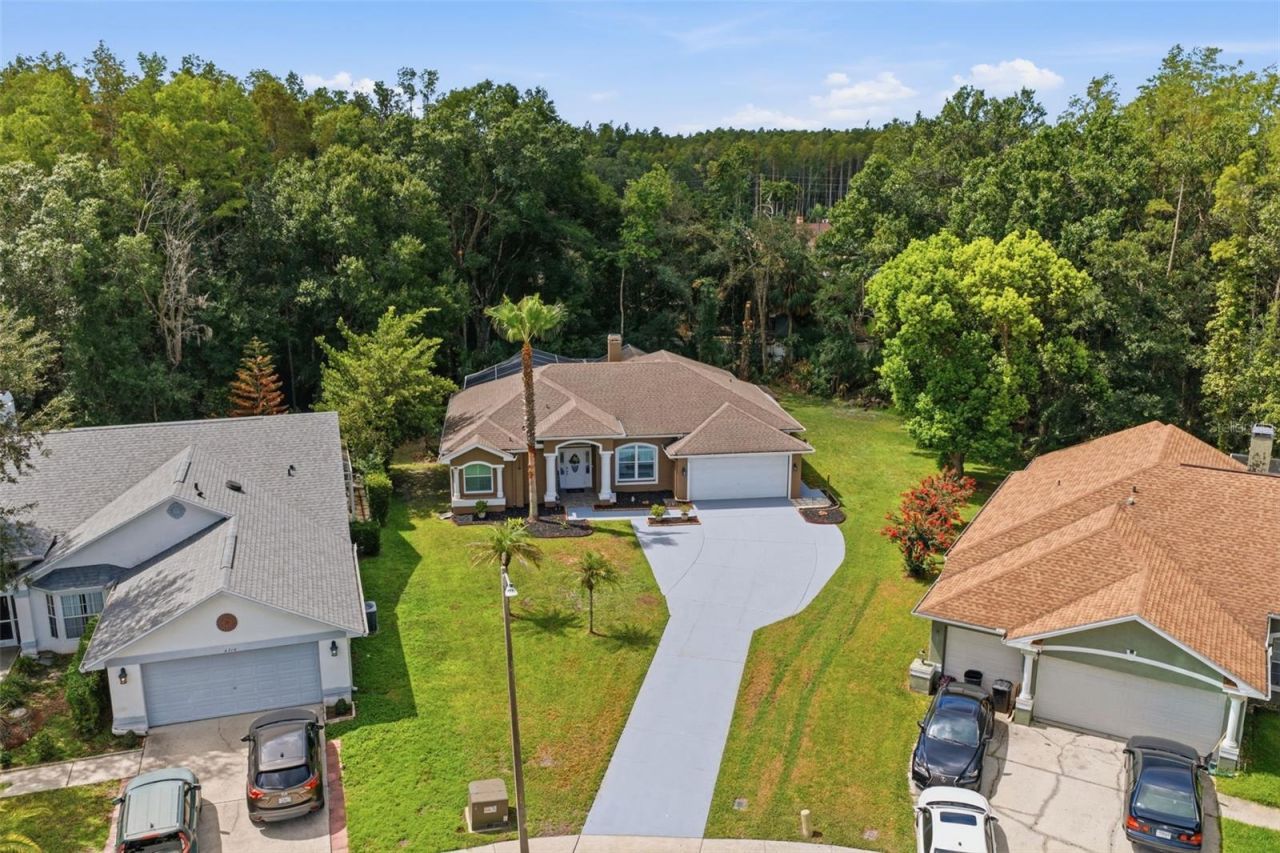4710 Basswood Street , Land O Lakes, FL 34639 Photo