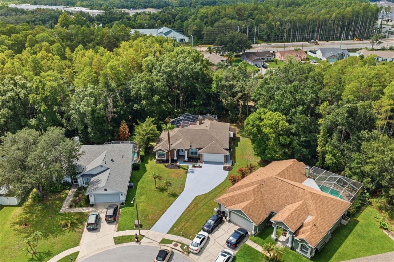 4710 Basswood Street , Land O Lakes, FL 34639 Photo