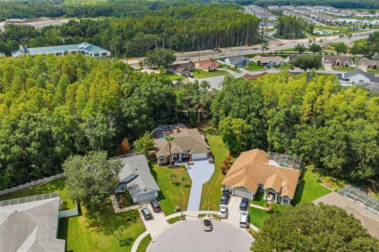 4710 Basswood Street , Land O Lakes, FL 34639 Photo