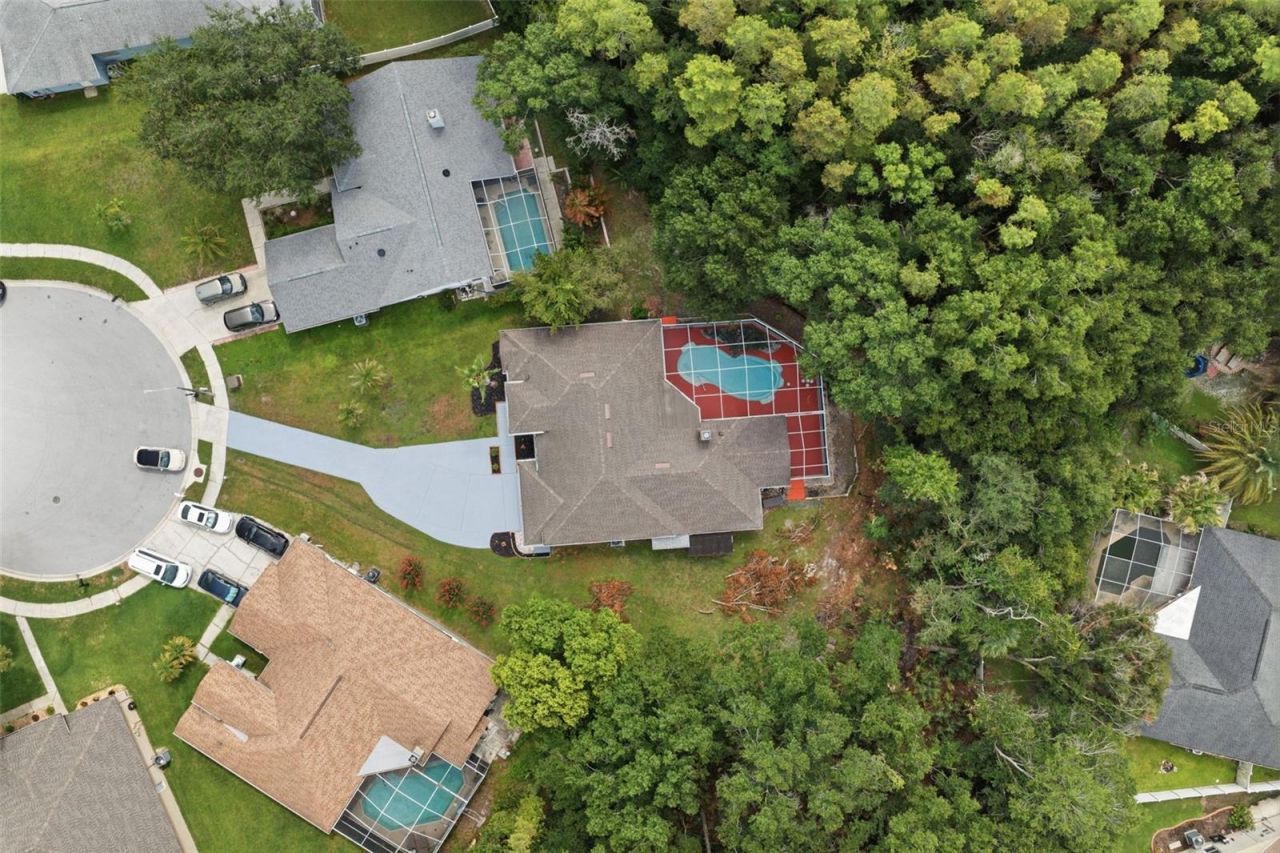 4710 Basswood Street , Land O Lakes, FL 34639 Photo