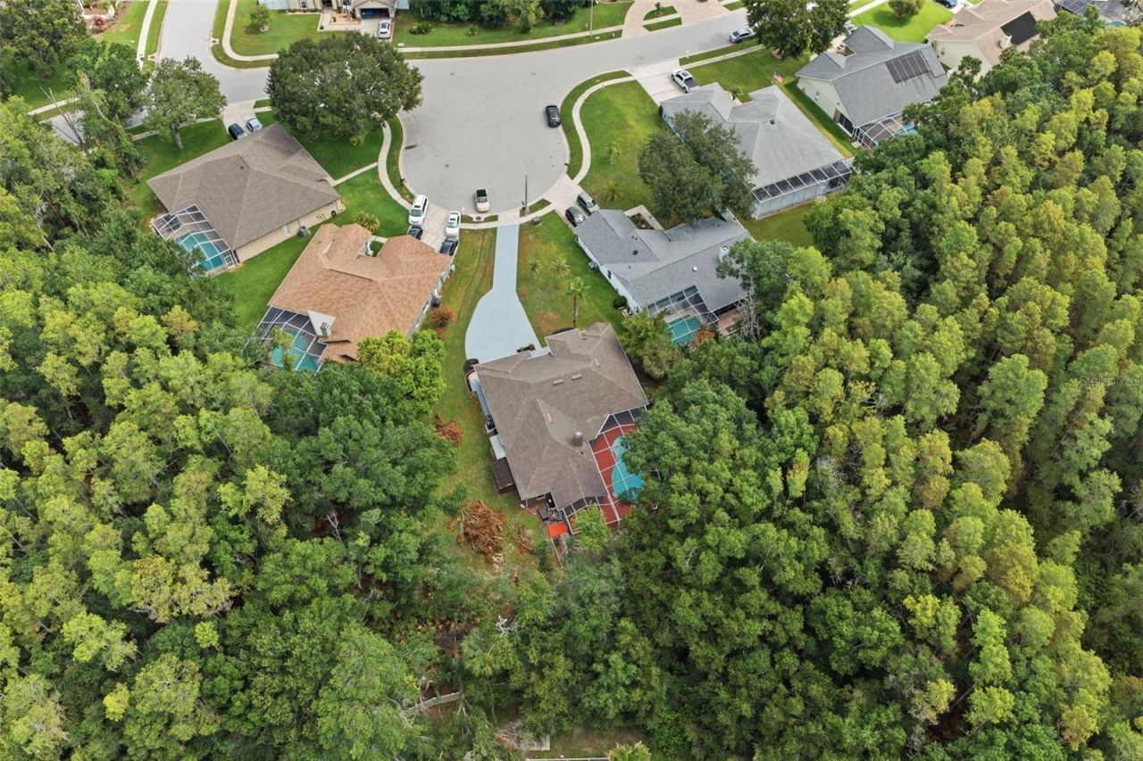 4710 Basswood Street , Land O Lakes, FL 34639 Photo