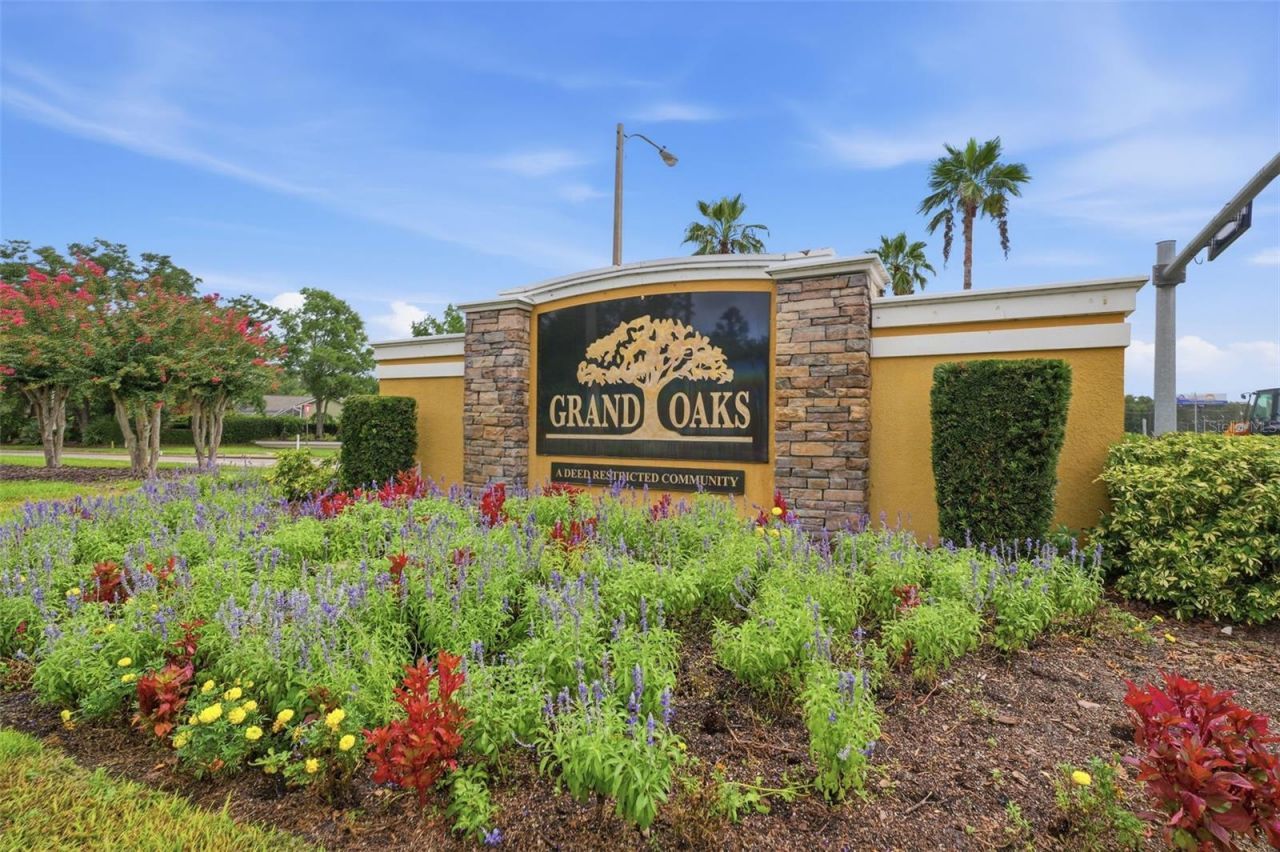 4710 Basswood Street , Land O Lakes, FL 34639 Photo