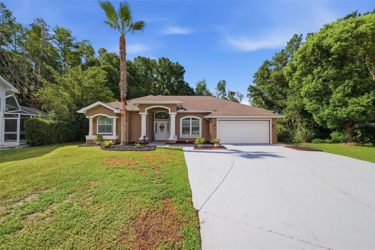 4710 Basswood Street , Land O Lakes, FL 34639 Photo