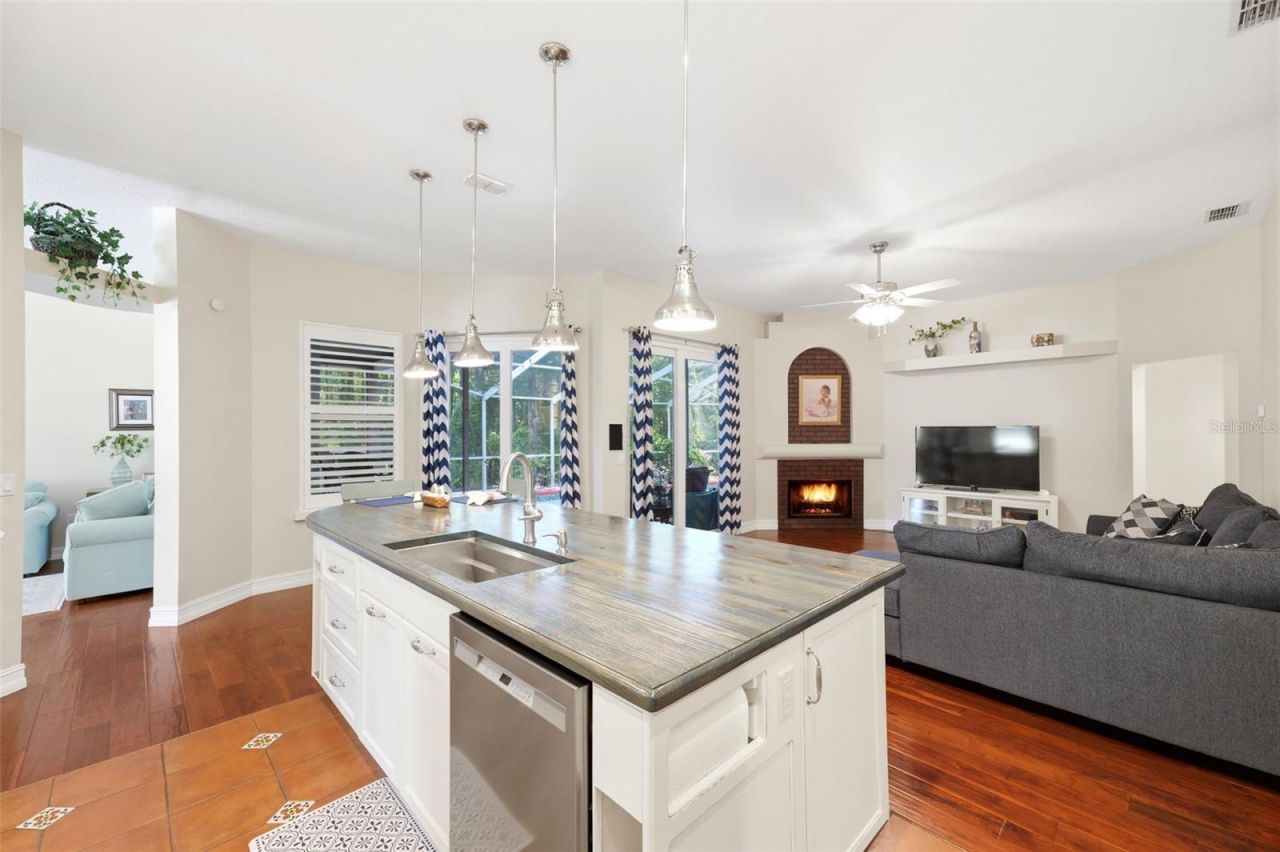 4710 Basswood Street , Land O Lakes, FL 34639 Photo