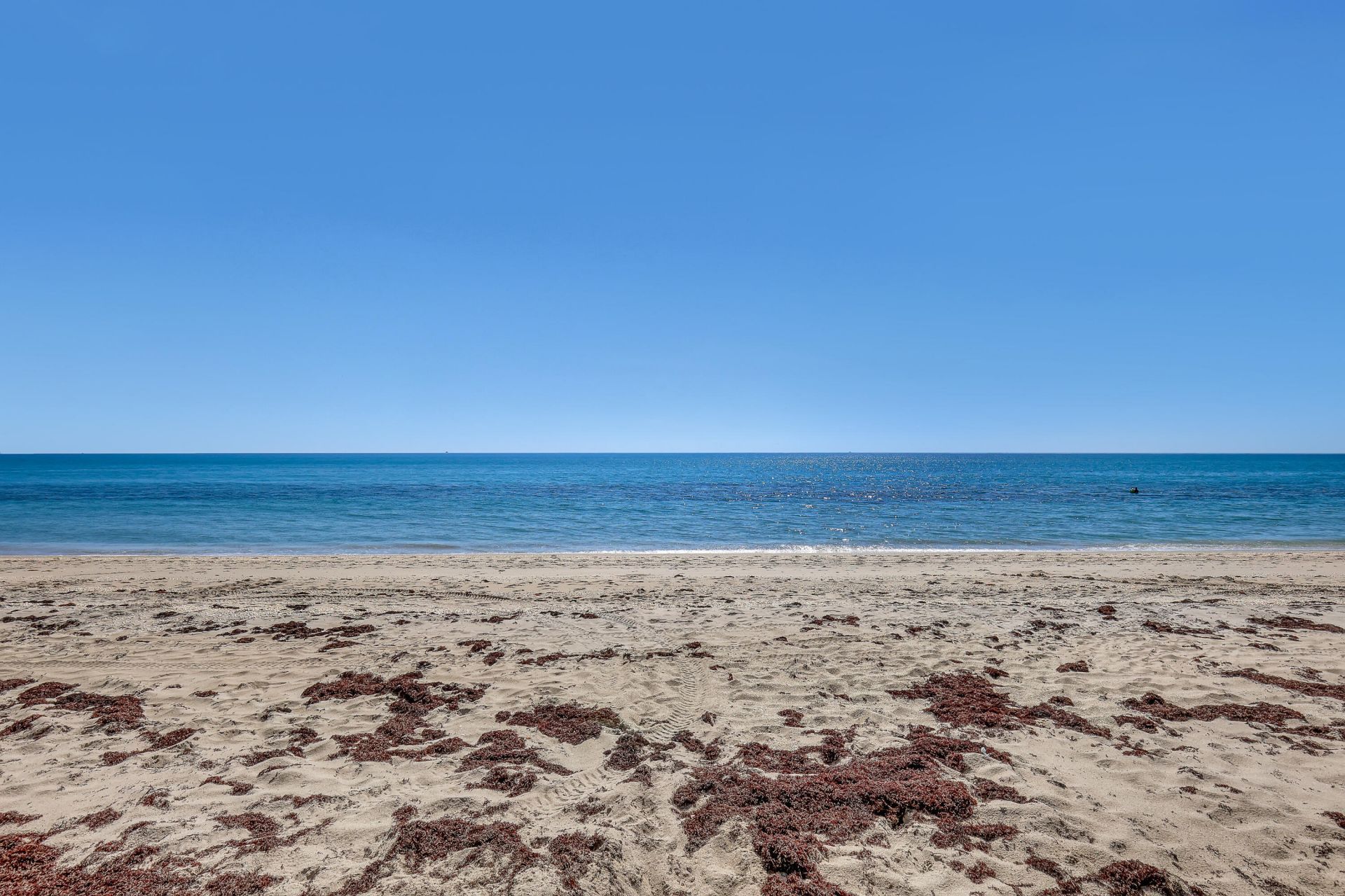 5200 N Ocean Drive N, Unit 1201, Singer Island, FL 33404 Photo