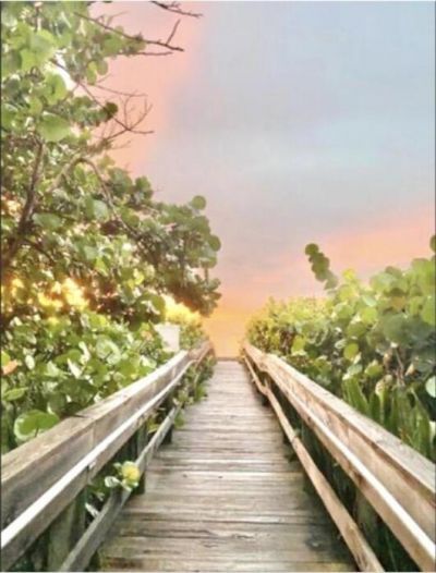 33 S Ocean Avenue, Unit 501, Palm Beach Shores, FL 33404 Photo