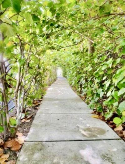 33 S Ocean Avenue, Unit 501, Palm Beach Shores, FL 33404 Photo