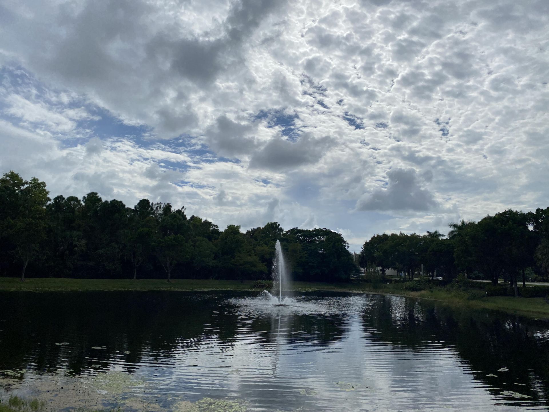 100 Crestwood Court N, Unit 103, Royal Palm Beach, FL 33411 Photo
