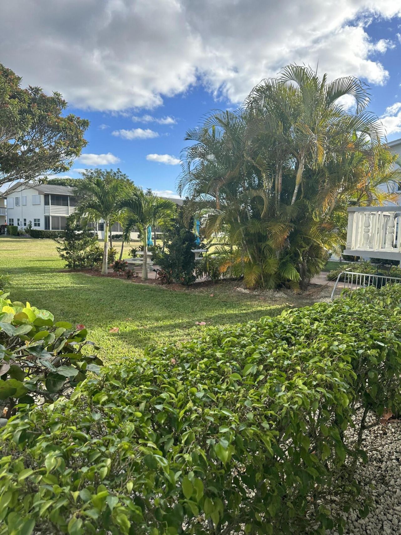 154 Windsor G, West Palm Beach, FL 33417 Photo