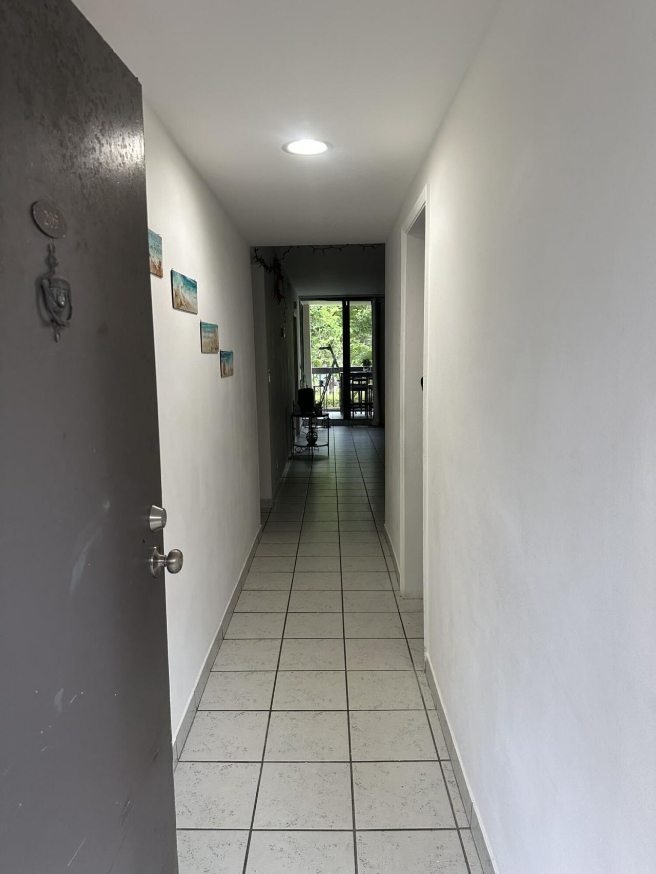 8409 Forest Hills Drive, Unit 205, Coral Springs, FL 33065 Photo