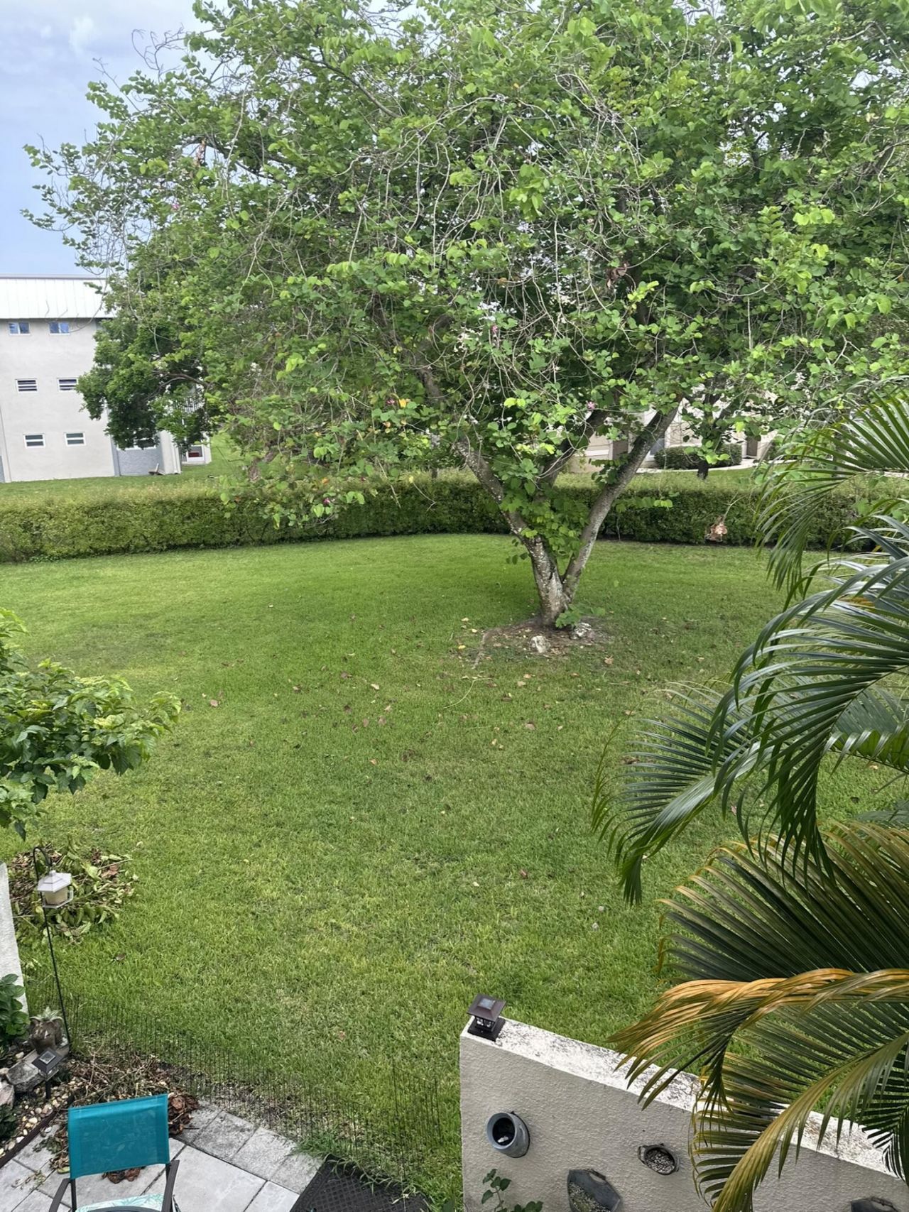 8409 Forest Hills Drive, Unit 205, Coral Springs, FL 33065 Photo