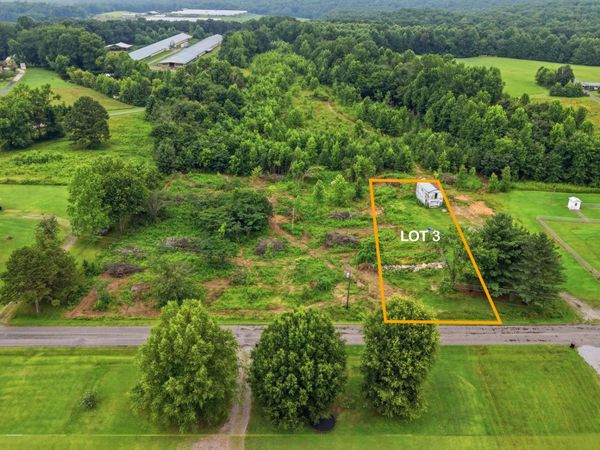 319 County Road 315 , Unit Lot 3, Bryant, AL 35958