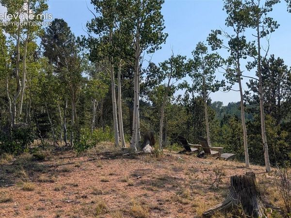 Fairview Drive, Cripple Creek, CO 80813