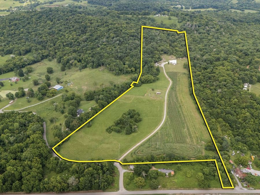 Property Image 11