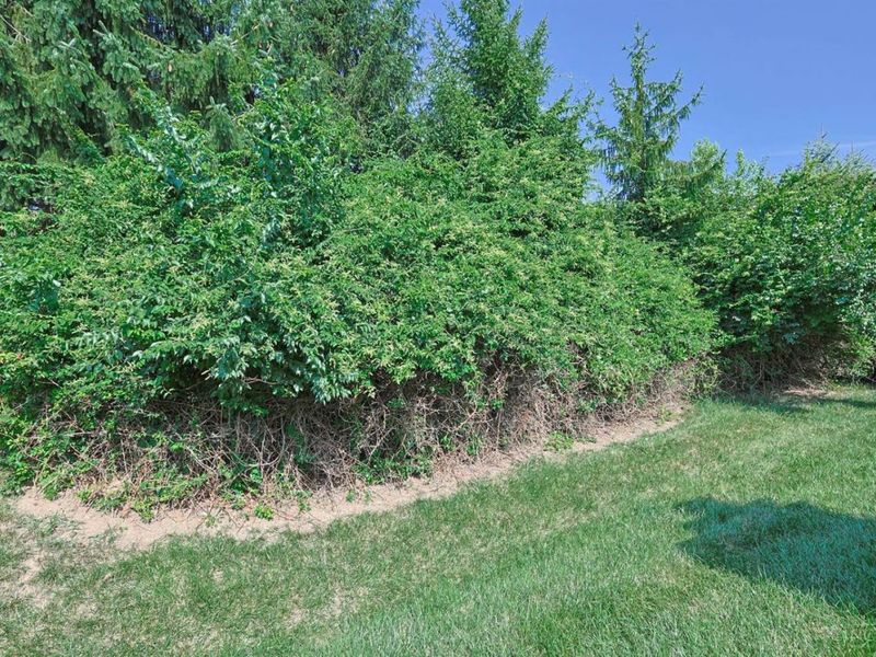 664 Fredericks Pass, South Lebanon, OH 45065 Photo 28