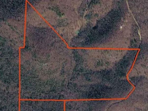Yellville, AR 72687