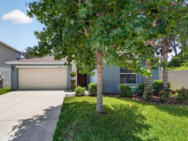 10304 STRAWBERRY TETRA DRIVE , RIVERVIEW, FL 33578