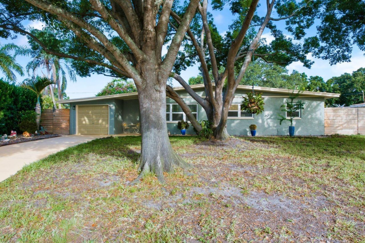 3280 56th Way N, Saint Petersburg, FL 33710 Photo