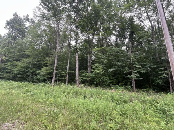 71 Valleyway Drive, Elmira, MI 49730