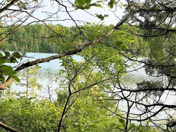 5829 Krouse Road, Cheboygan, MI 49721