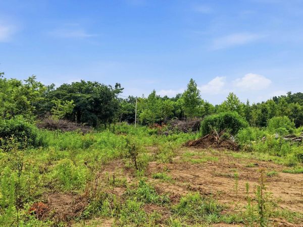 319 County Road 315, Unit Lot 3, Bryant, AL 35958