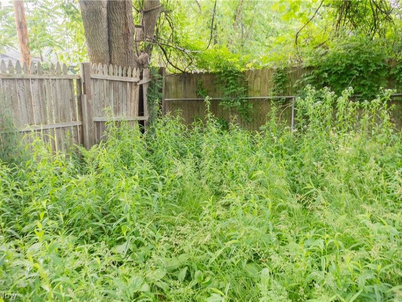 3247 W 56th Street, Cleveland, OH 44102 Photo 10