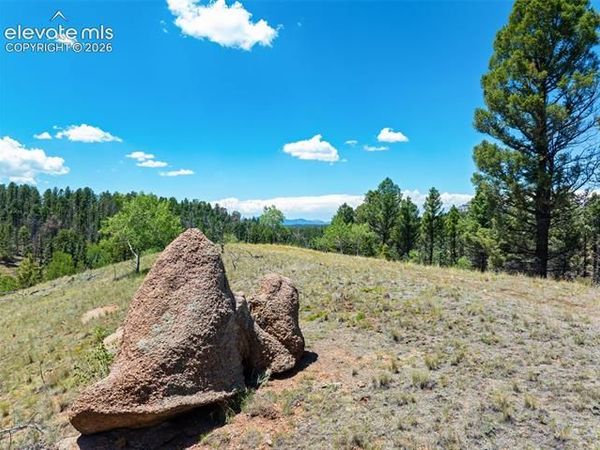 404 Morning Star Creek Trail, Florissant, CO 80816